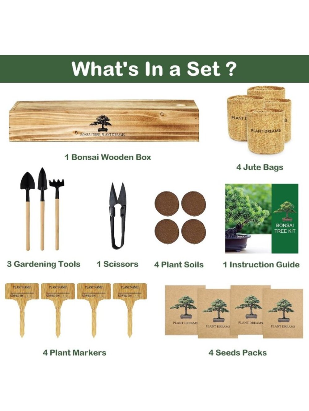 Complete Bonsai Tree Growing Kit - Perfect Gardening Gift for Plant Lovers - Picture 3 of 8